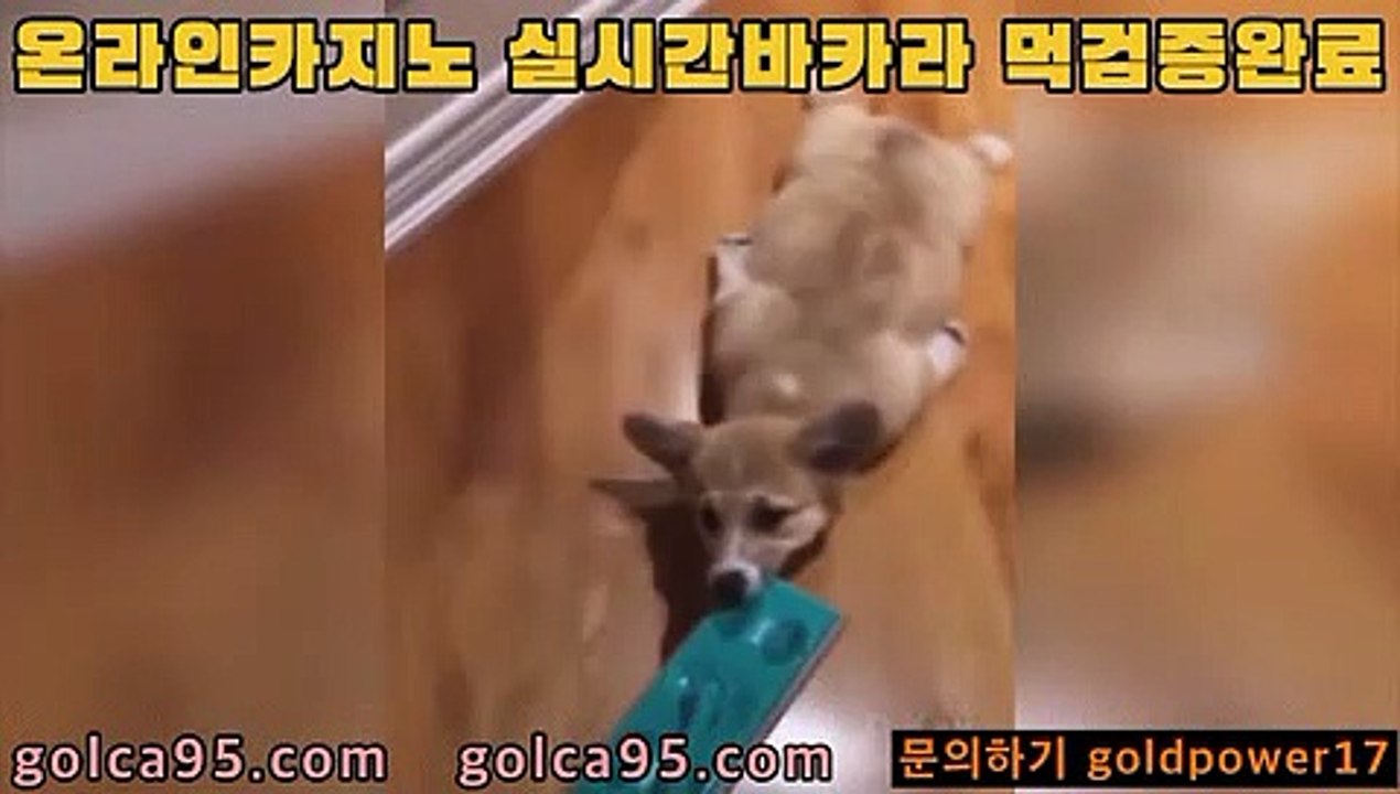 바카라3rhfemzkwlsh- ( Θ【 golca95。ＣoＭ 】Θ) -바카라사이트 코리아카지노 온라인바카라 온라인카지노 마이다스카지노 바카라추천 모바일카지노3바카라