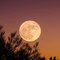 Super Pink Moon: The Biggest And Brightest Full Moon Of 2020 .