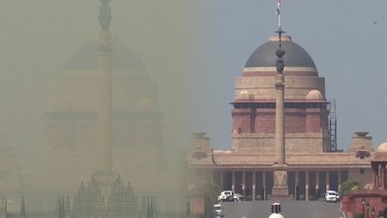 New Delhi breathes again