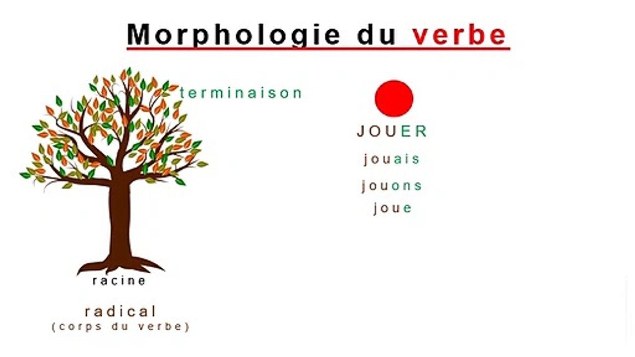 Qu’est-ce que la conjugaison ?