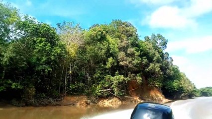 Exciting Speedboat Trip in the Beautiful Rainforest (Backview) Part 2