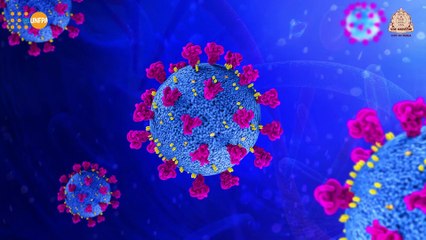 Prevention for Sanitation Workers - How to Prevent from Coronavirus Infection