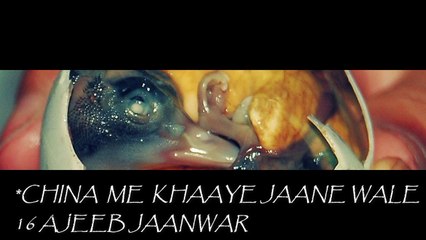 kya khaate hai chinese jisse failti hai maha maari