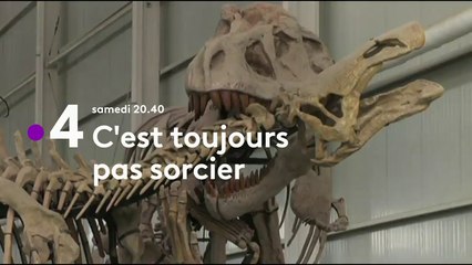 C'est toujours pas sorcier - Que reste-t-il des dinosaures ? Bande-annonce