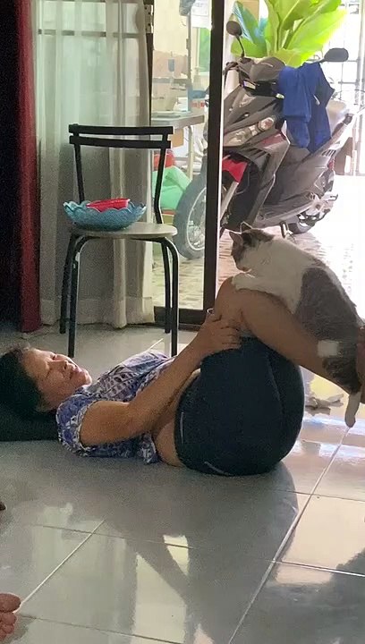 Kitty Assisting With Quarantine Exercise