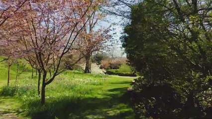 Arundel Castle Tulip Festival 2020
