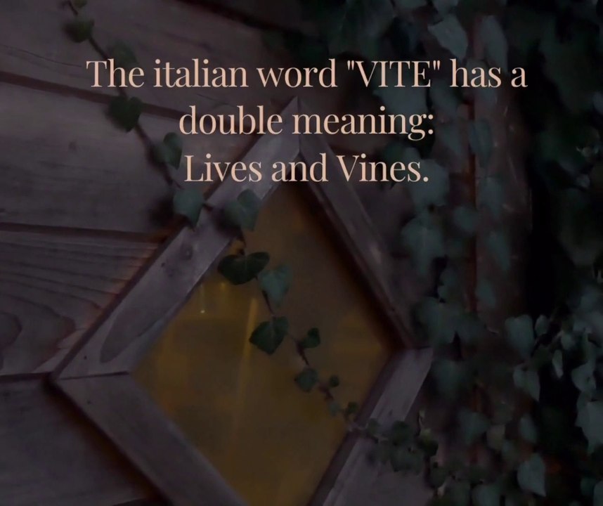 "VITE" Ep.0 - Introduction