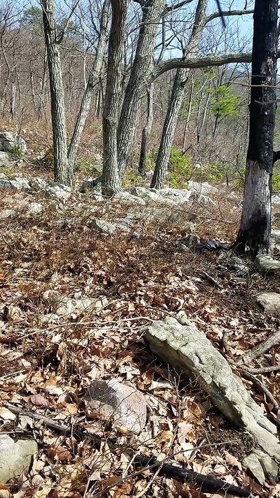 Shenandoah National Park Part 2 Rocky Mountain Ghosts! Lunar Paranormal Virginia April 2020