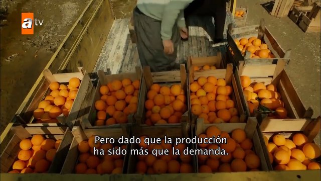 Bir Zamanlar Çukurova capítulo 24 subtítulos español-parte-004-F
