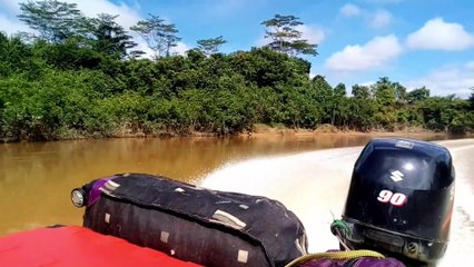 Exciting Speedboat Trip in the Beautiful Rainforest (Backview) Part 3