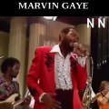 LES PLUS GRANDS TITRES DE MARVIN GAYE