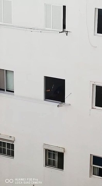 Vecinos de Santa Cruz de Tenerife se disfrazan durante estado de alarma