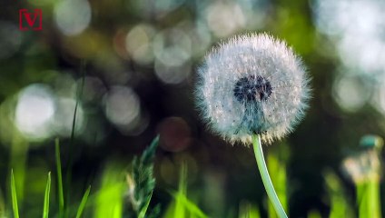 How Getting Your Allergies in Check Could Help Lower Your Risk of COVID-19