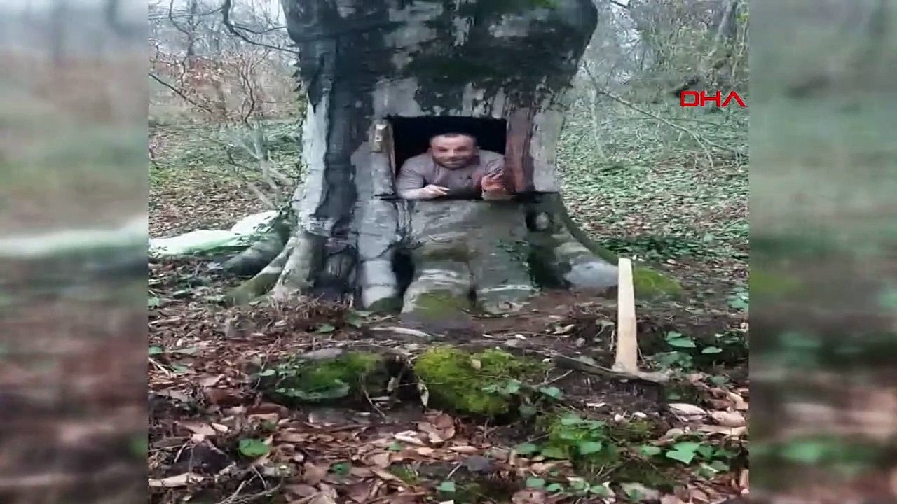 Koronavirüsten korunmak için ağaç kovuğuna giren adam
