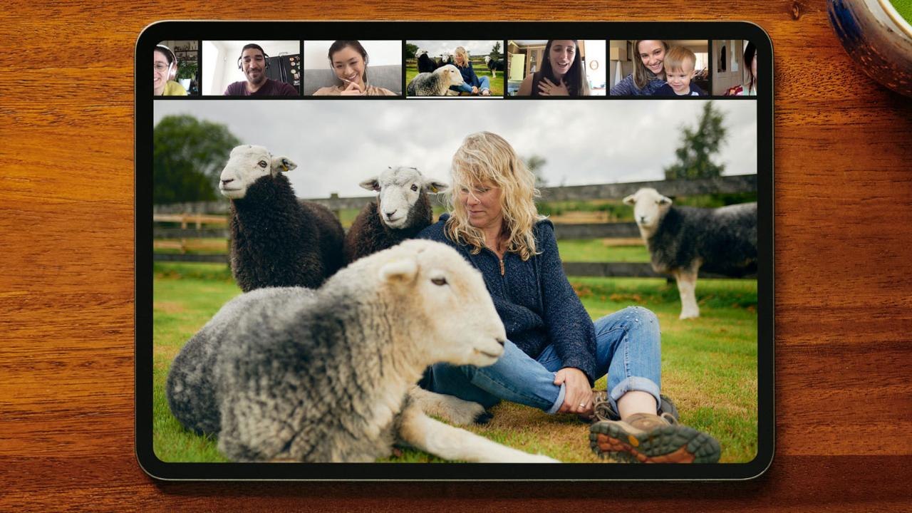 Airbnb Just Launched Online Experiences — Including Virtual Hangouts With Goats and Cooking Classes