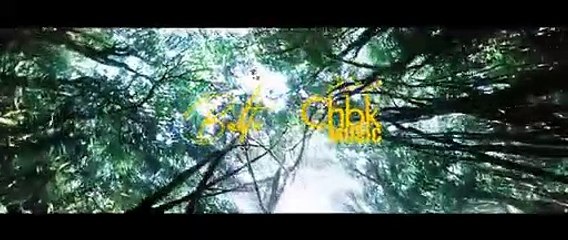 Balti - Mawal (Official Music Video)