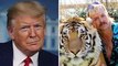 President Trump on Joe Exotic Pardon: Will 'Look Into It' | THR News