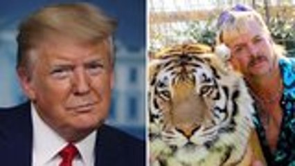 President Trump on Joe Exotic Pardon: Will 'Look Into It' | THR News