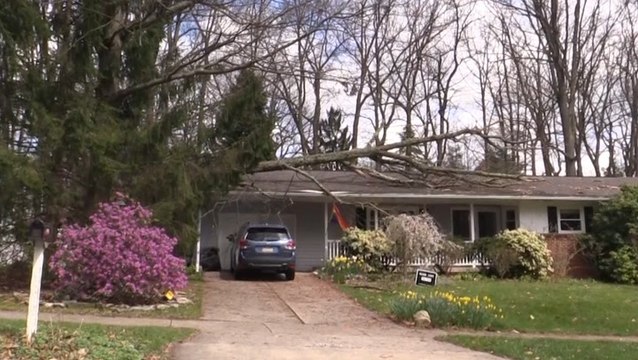 Strong winds knocked tree onto house
