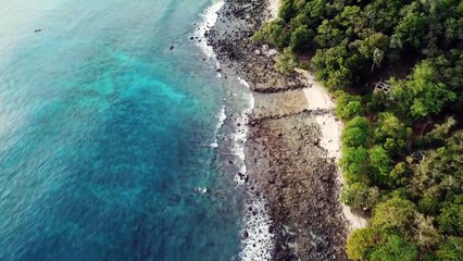 Mind relaxing music with beautiful nature