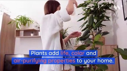 10 Plants That Are Safe for Kids and Pets