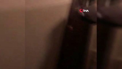 Trafik polisi kaza geçiren kadının tutanaklarını eve getirdi.