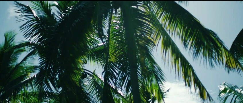 Hevito feat. Gipsy Casual & Ralflo - Negra Linda Official Video