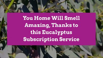 You Home Will Smell Amazing, Thanks to this Eucalyptus Subscription Service