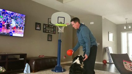 Dog Bounces Basketball into Hoop Off Its Nose