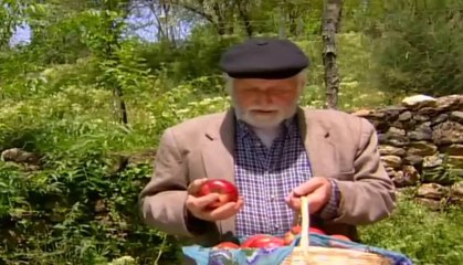 Yaşlı Amcanın Elinde Bir Sepet Elma Kalıyor | Bir Sepet Elma