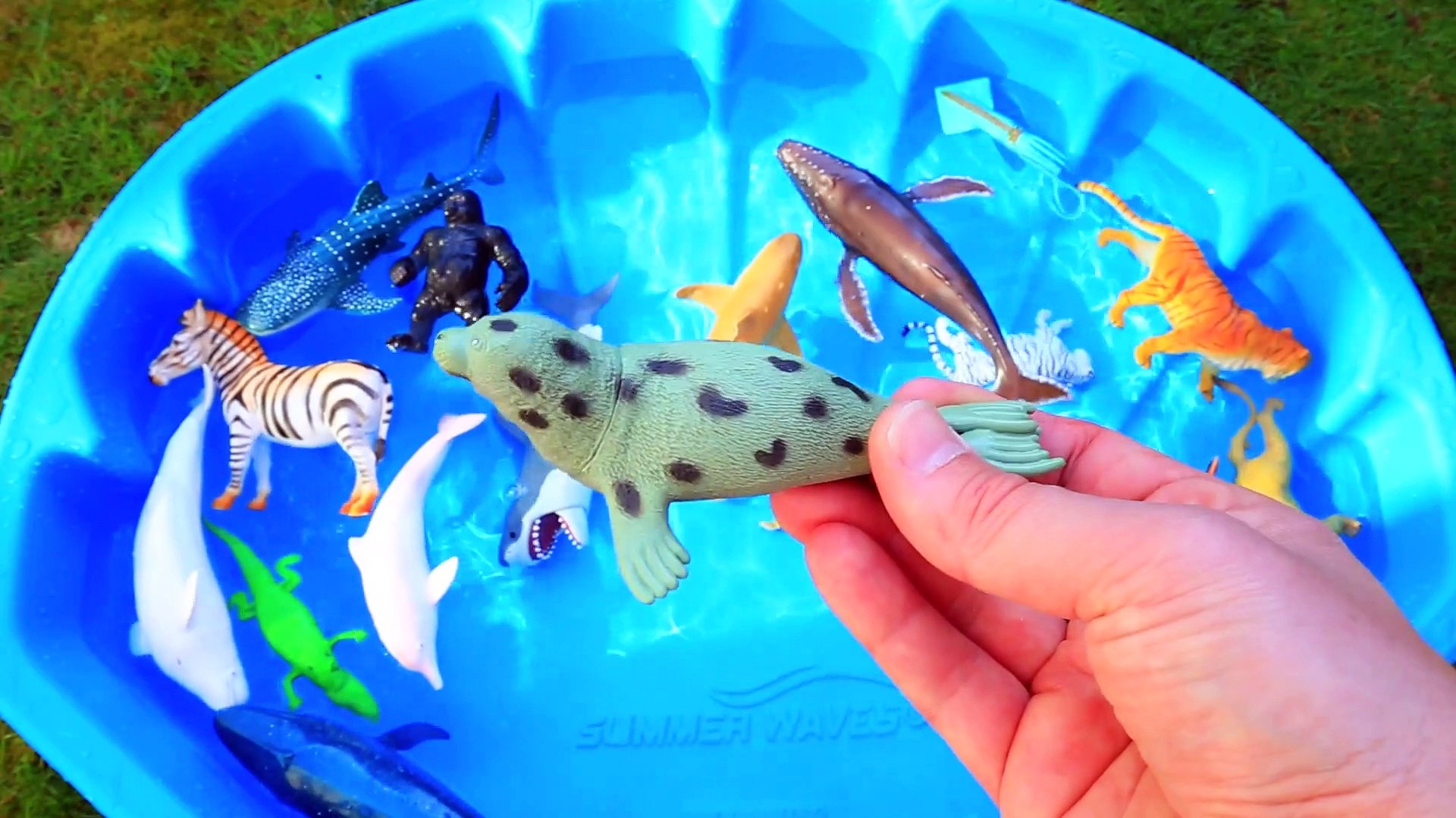 Learn Colors with Wild Animal Toys Sharks in Blue Water Tub Toys For Kids -  video Dailymotion