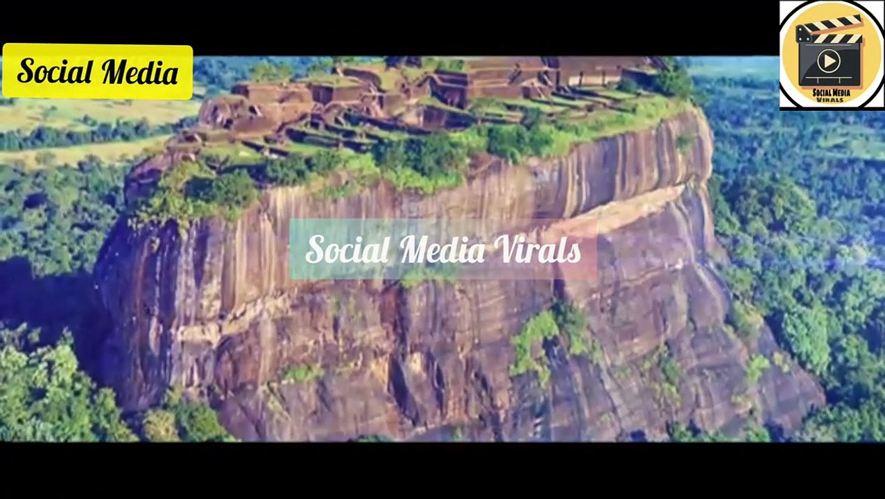 5 Amazing things Found In Forests Information Social Media