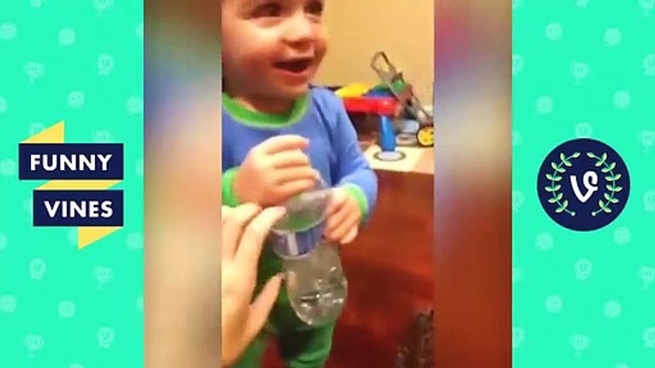 Funny videos
