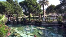 Natural Pools of Pamukkale, Hierapolis & Ephesus Tour - Turkey