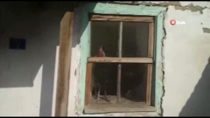 Karantina altındaki köydeki tavukları ve köpeği için CİMER'e başvurdu.