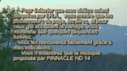 LES LETTRES DE MICHOU W-D.D. - 5 AVRIL 2020 - PAU - RECHERCHES SUR LE CASATCHOCK