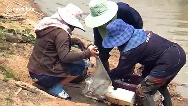 Thai villagers go fishing instead of market amid COVID-19 fears