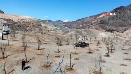 - Yusufeli yeni yerleşim yerinde çiçekler açtı, ağaçlar meyve verdi