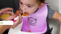 Waterproof Silicone BPA Free Baby Bibs With Catcher - Reviews
