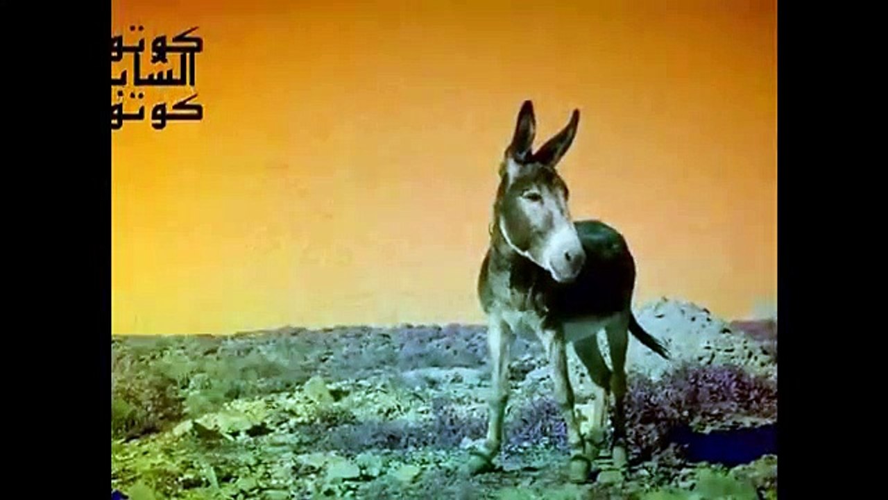 الأغنية المغربية التي يبحث عنها الجميع the best...