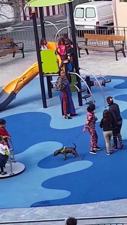 De la négrophobie depuis l'époque des bacs à sable