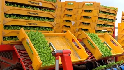 بسبب كورونا.. قلق فرنسي من اختلال الدورة الإنتاجية الزراعية