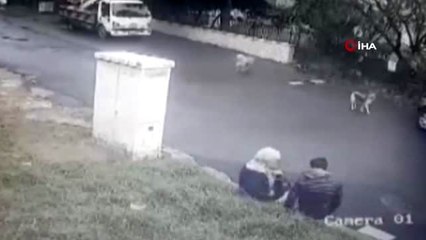 Yaşlı kadını dolandırırken utanmadı, kameraları görünce "Ne olur çekmeyin" dedi