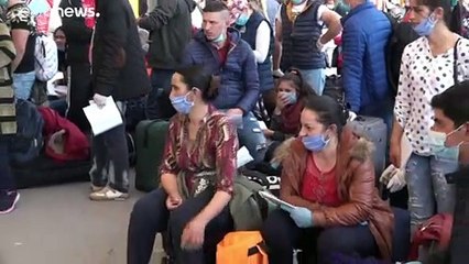 Miles de temporeros rumanos rumbo a Alemania pese al COVID-19