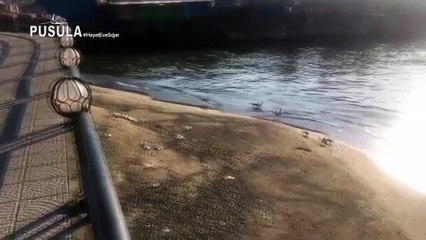 Limanda kumsal oluştu: Mayıs’ta denize gireriz