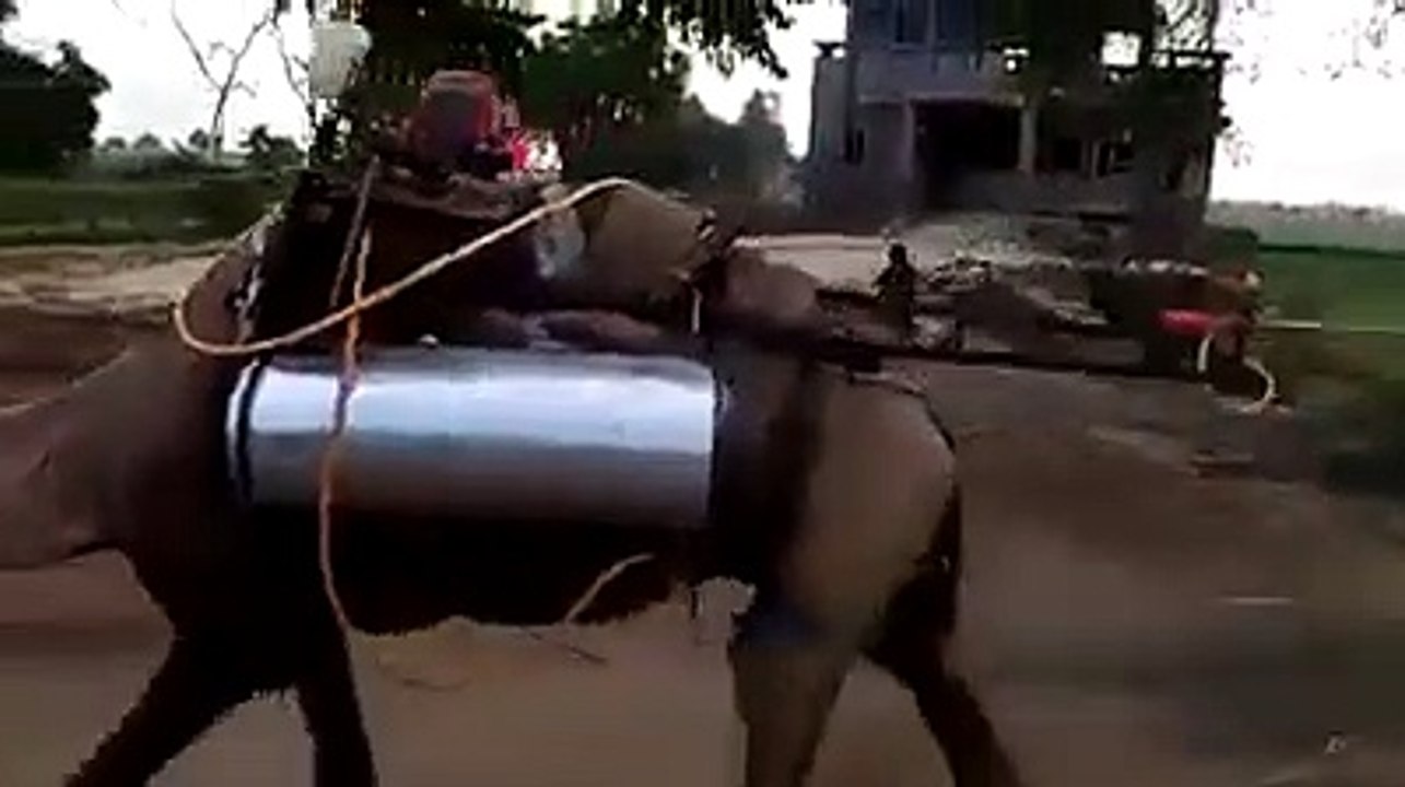 VID-20200410-WA0017