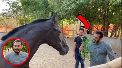 Salman Khan Is Having Breakfast With His 'Love' Amid Lockdown - WATCH