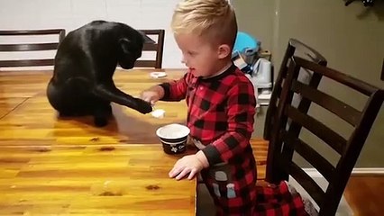 Baby and Cats Playing  ! Best funny cat ! Cat and baby best friend