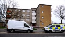 Grangemouth Kingseat Avenue police incident