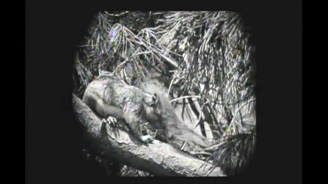 Nomads of the North 1920 silent film Part 1